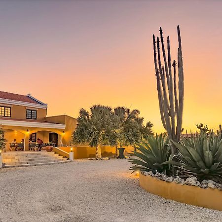 Boutique Hotel Wanapa - Adult Friendly - 14 Years And Older Playa Kültér fotó