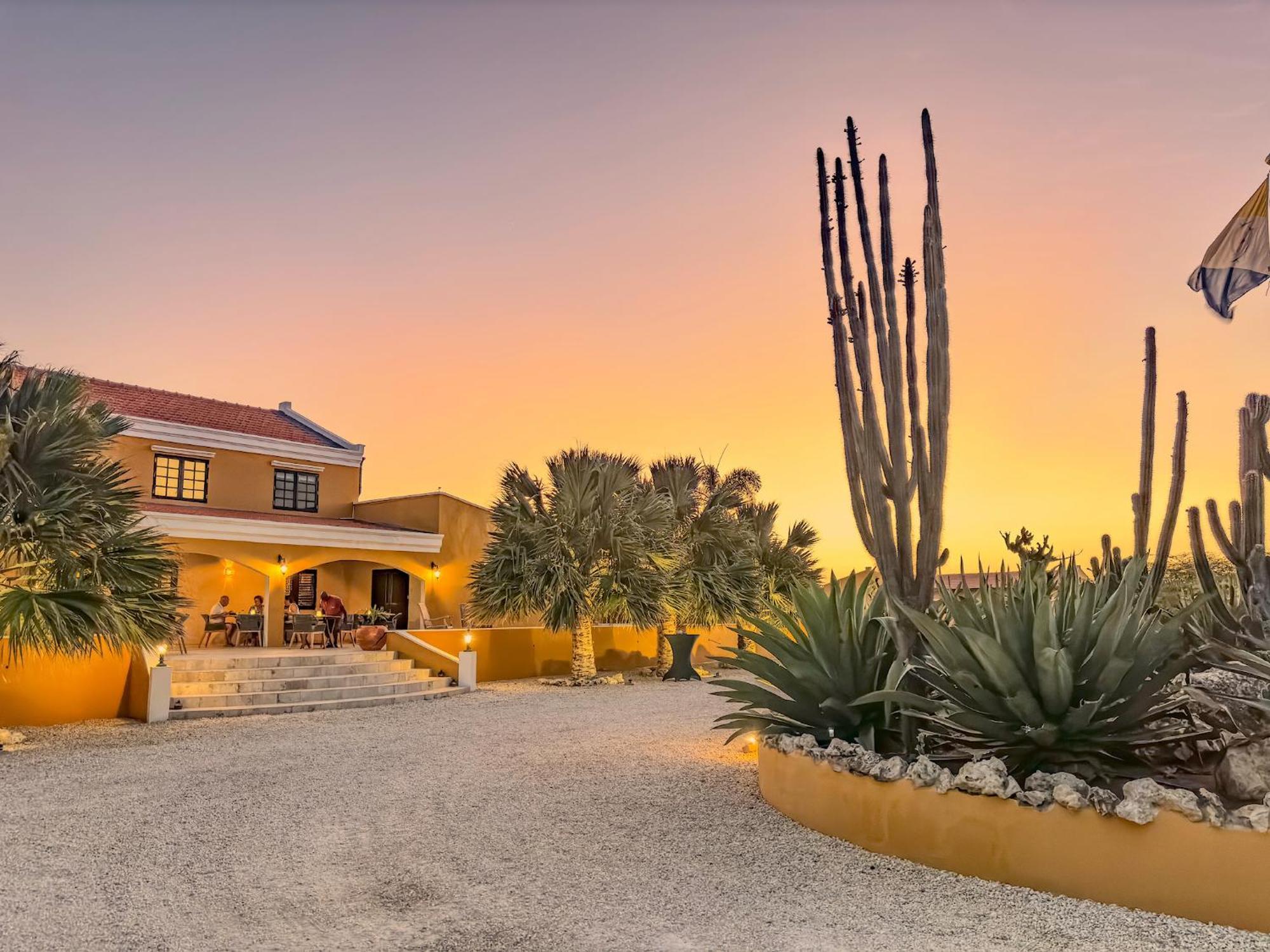 Boutique Hotel Wanapa - Adult Friendly - 14 Years And Older Playa Kültér fotó
